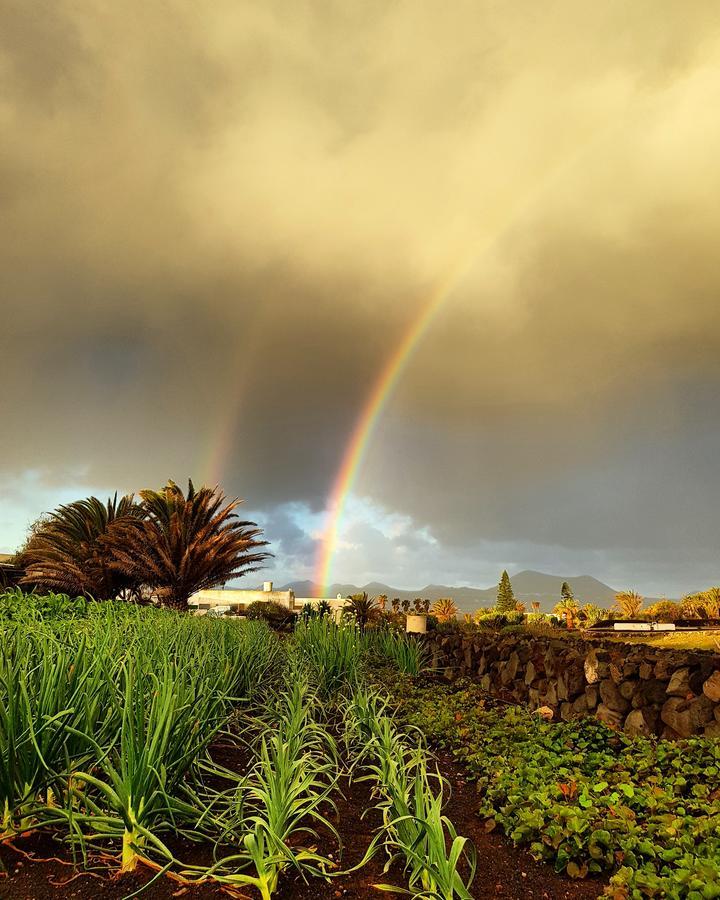 B&B La Mimosa Teguise  Esterno foto